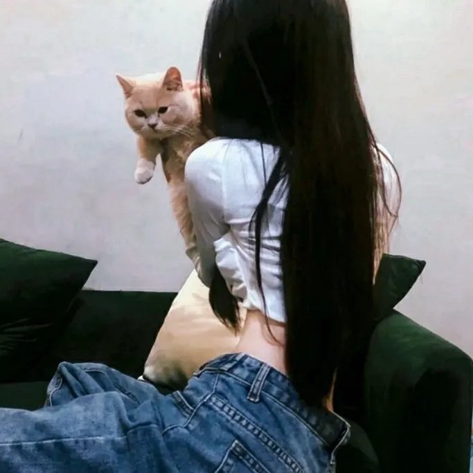 功夫兔与菜包狗第二季