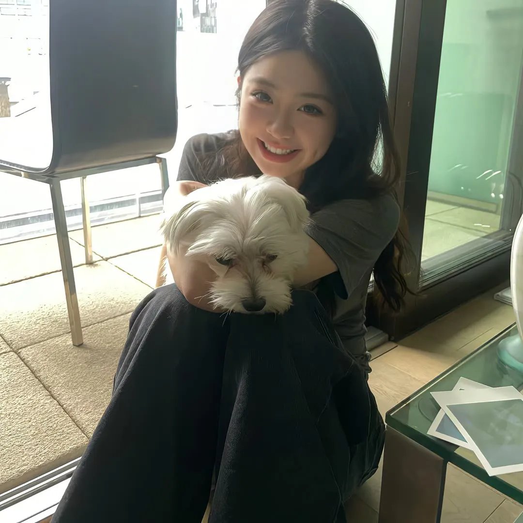百合熊风暴